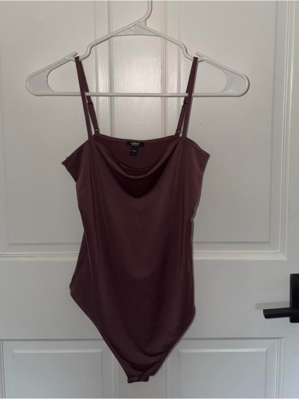 Express Mauve Cowl Neck Bodysuit